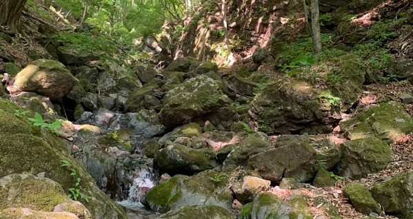 下山途中の薄川